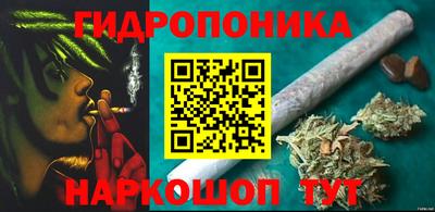 сатива Заволжье