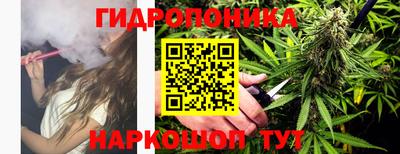 сатива Заволжье