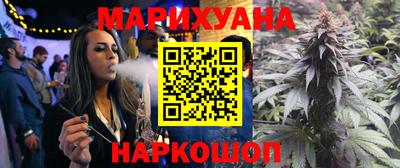 сатива Заволжье