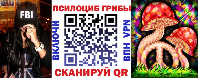 Псилоцибиновые грибы Psilocybe  omg ONION  Элиста  что такое  