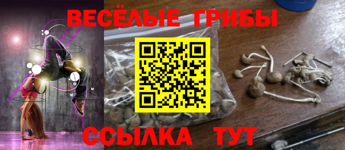 Элиста  Галлюциногенные грибы Cubensis  Вход с VPN 