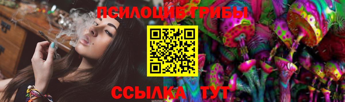 Галлюциногенные грибы Cubensis Элиста
